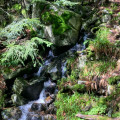 Petite cascade sur le sentier des Roches