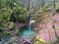 Petite cascade Petite cascade
