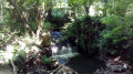 Petite cascade