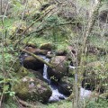 Les Gorges de l'Artière Les Gorges de l'Artière