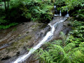 Petite cascade