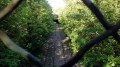 Petite Ceinture