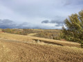 Petite croix en pierre ... Petite croix en pierre ...