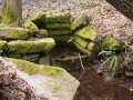 Petite fontaine