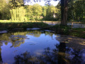 Petite mare au hameau de la Haute Epine