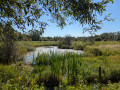 La Petite Camargue par Rosenau