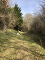 Panorama sur Montesquieu-Volvestre et la chaine des Pyrénées