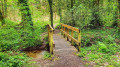 Petite passerelle
