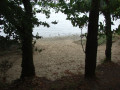 Small beach