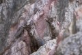 petite rencontre dans la grotte petite rencontre dans la grotte