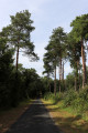 Petite route après la Vieille Grange