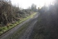 Petite route enherbée en direction d ela Pierre