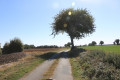 Petite route enherbée menant à la ferme du Marais de Mont