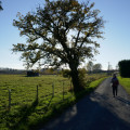 Petite route Petite route