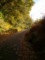Petite route