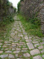 Petite Rue Chère