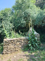 petite ruine