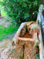 Petite source ... Petite source ...