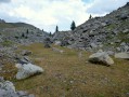 petite zone herbeuse