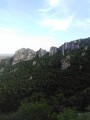 Petites aiguilles