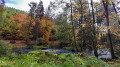 Pfad am Ufer der Waldnaab