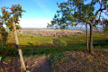 Promenade du Grand Cru Steinert à Pfaffenheim