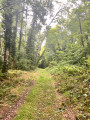 Les coteaux au Nord de Joigny