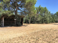 Cabane du pique-nique