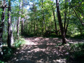 WayPoint ::1::