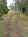 Montée au Piton Darid