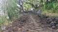 Le Chemin des Anglais