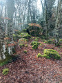 Photo prise avant le repère n°2
