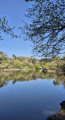 En forêt de Mervent le long de la Vendée En forêt de Mervent le long de la Vendée
