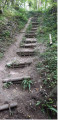 Marches en rondins de bois Marches en rondins de bois