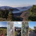 Photos
