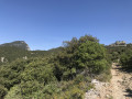 Pic Saint Loup et Chateau de Montferrand