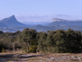 Pic Saint-Loup et Hortus