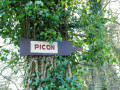 PICON