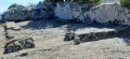 Pièce du Fort Freinet