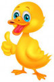 Pierre Canard