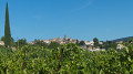 Boucle de la Chapelle Saint-Patrice au départ de Pierrevert