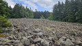 Pierrier dans la forêt du Meygal