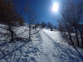 pilat