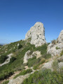 Pilon du Roi