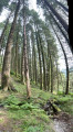 Arrochar Caves Trail - Glen Loin, Loch Long