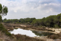 Pinède du Boucanet
