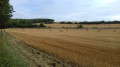 Pippemont