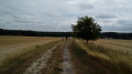 Piste agricole