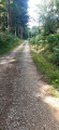 Track after Lannet Pond