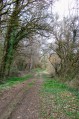 Sentiers et Bois au Nord-Ouest d'Itzac Sentiers et Bois au Nord-Ouest d'Itzac